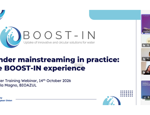 Highlights from the BOOST-IN Gender Webinar: Promoting Gender Equality in Research & Innovation