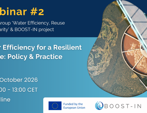 Water Efficiency for a Resilient Europe: Policy and Practice